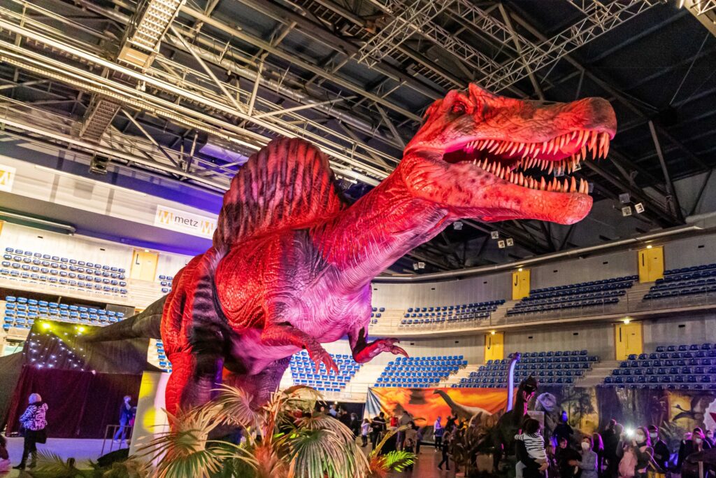 Exposition à Bordeaux à l'Arkea Arena Bordeaux par Le Musée éphémère