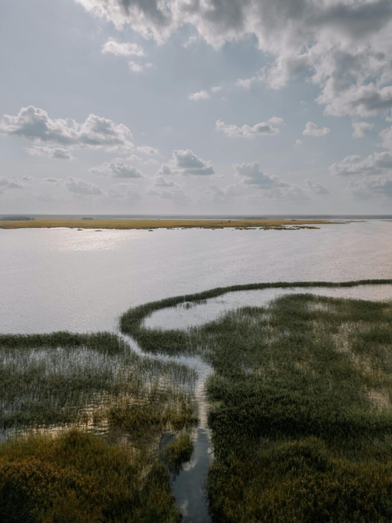 Iles de l'estuaire de la Gironde