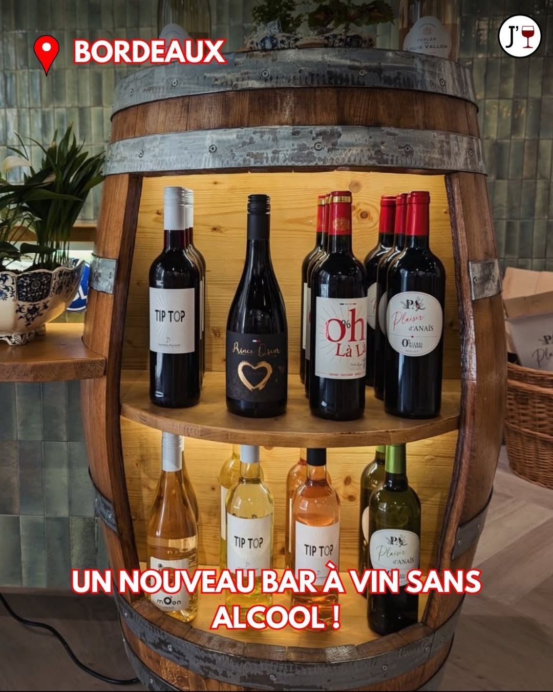 cave à vin sans alcool