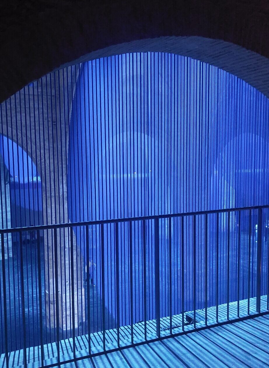 CAPC etablissement français du sang don du sang musée d'art contemporain bordeaux