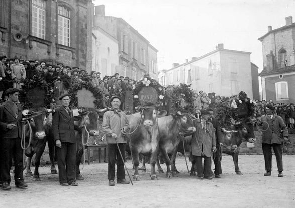 Fête des Bœufs Gras bazas