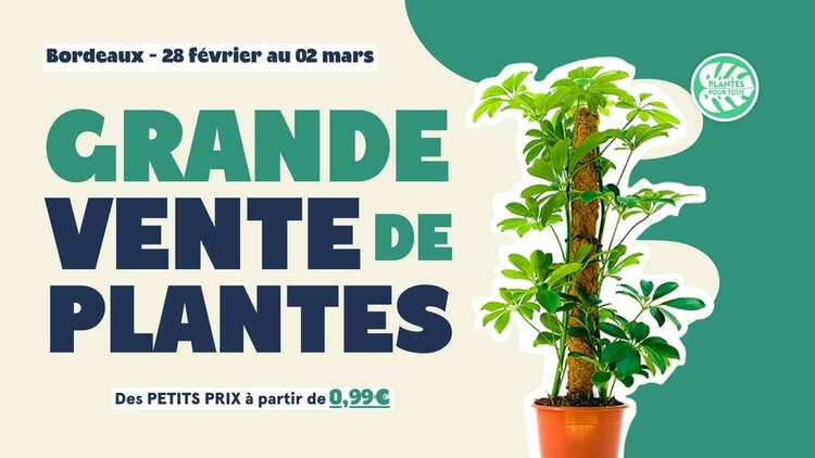 Que faire à Bordeaux ce week-end ? Une grande vente de plante !