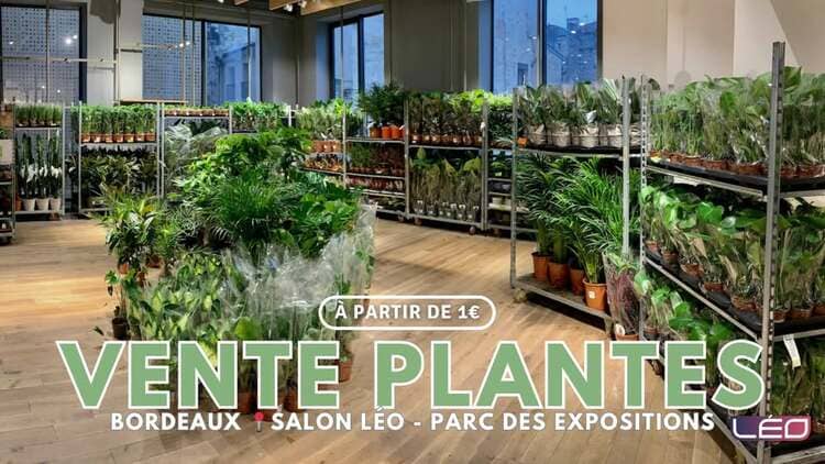 Grande vente de plante au Parc des Expositions que faire à bordeaux que faire à bordeaux cette semaine sortir à bordeaux activités à bordeaux