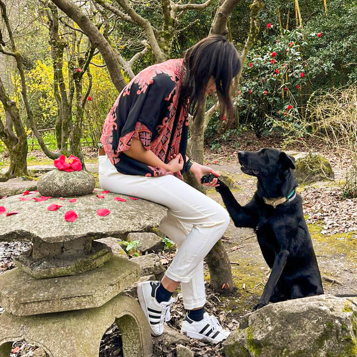 Les meilleures activités à faire avec son chien à Bordeaux