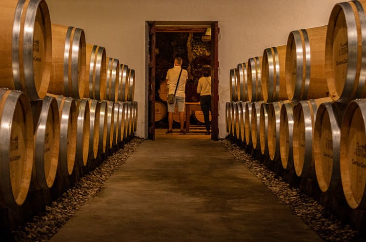Dégustation de Grands Crus Classés