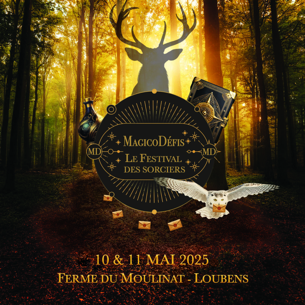 activité famille festival magie