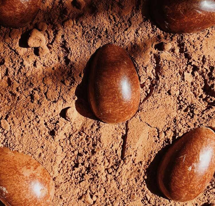Notre top 10 des meilleurs chocolatiers à Bordeaux pour Pâques 4 Meilleurs chocolatiers, chocolatiers, artisanal, chocolat de Pâques