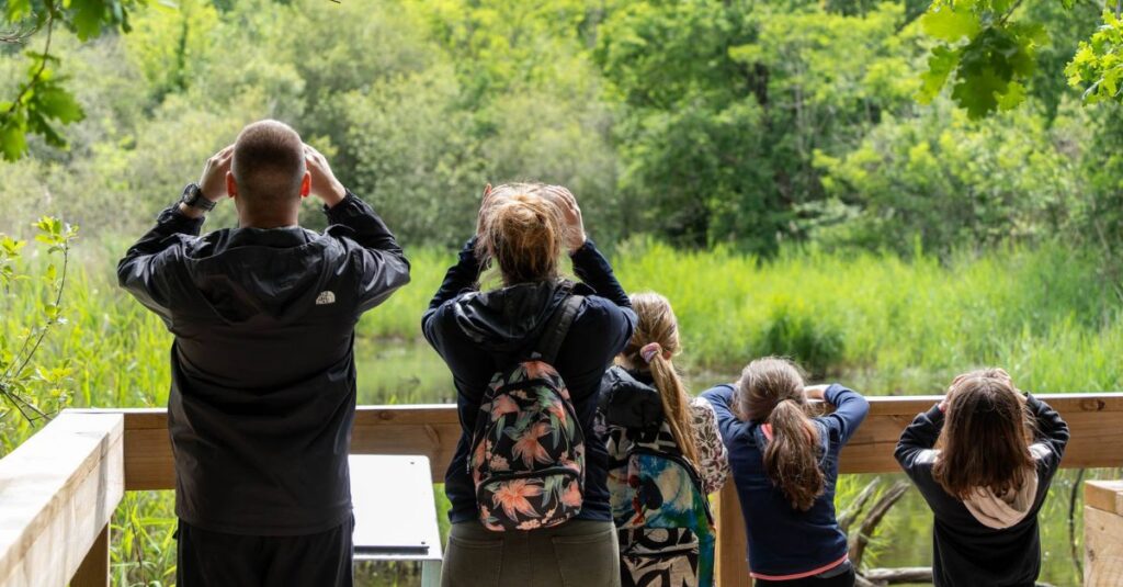 activité en famille, Réserve ornithologique du Teich, sortie en famille, parc naturel près de Bordeaux