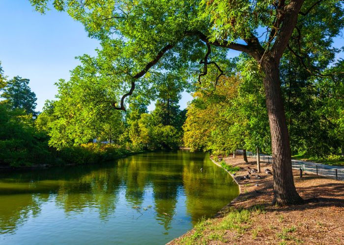 Où promener son chien autour de Bordeaux