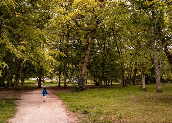 Où promener son chien autour de Bordeaux