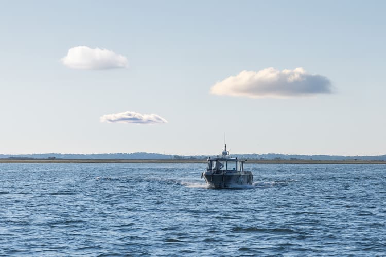 Balade en bateau sur l'île au x oiseaux, le Cap Ferret... avec l'Union des Bateliers Arcachonnais