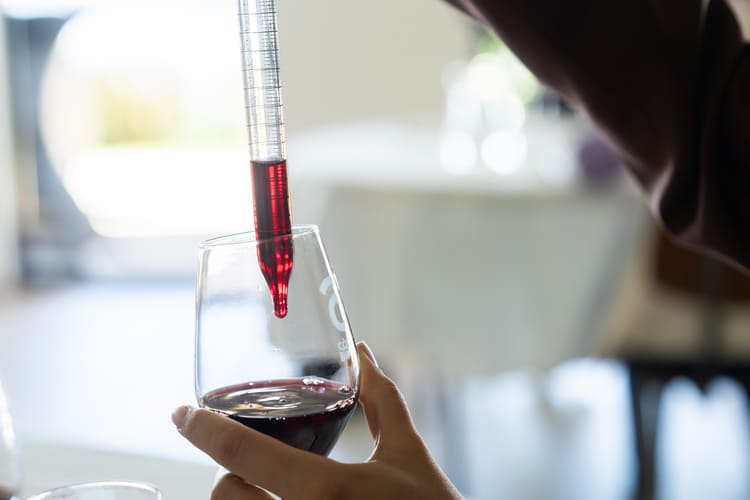 Vins de Bourg-sur-Gironde et des alentours