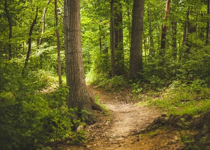 Fête de la Nature 2025 à Léognan du 21 au 25 mai 2025 3 Fête de la Nature 2025 à Léognan du 21 au 25 mai 2025