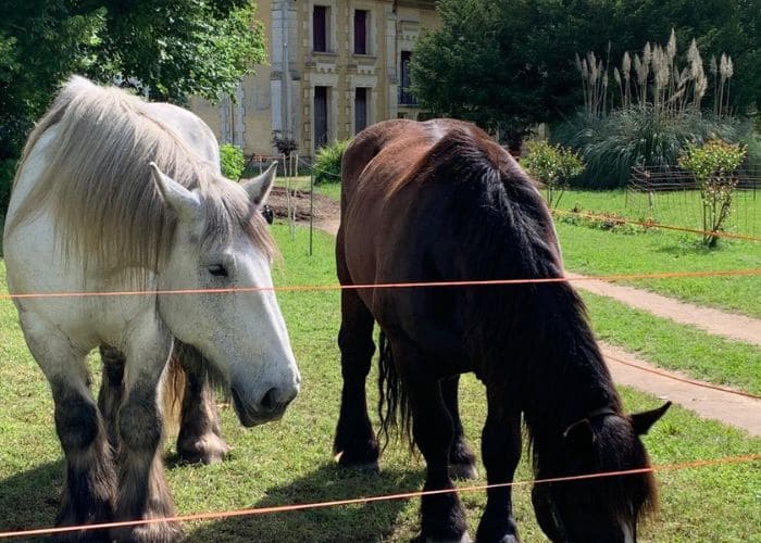 Fête de la Nature 2025 à Léognan du 21 au 25 mai 2025 2 Fête de la Nature 2025 à Léognan du 21 au 25 mai 2025