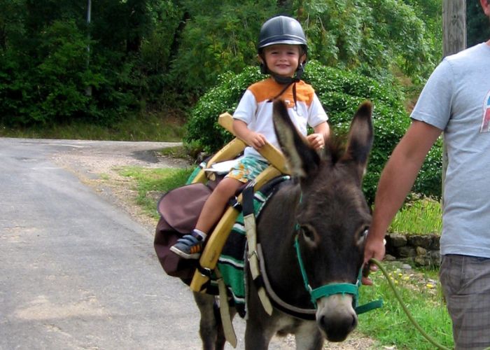 Familles en fête revient à Salles ! Une journée gratuite pour tous le 24 mai 2025 1 Design sans titre 39