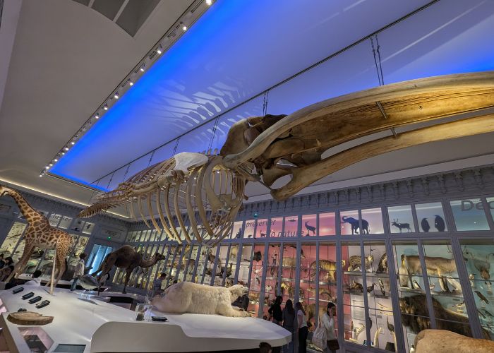 nuit-des-musées-2025-min
