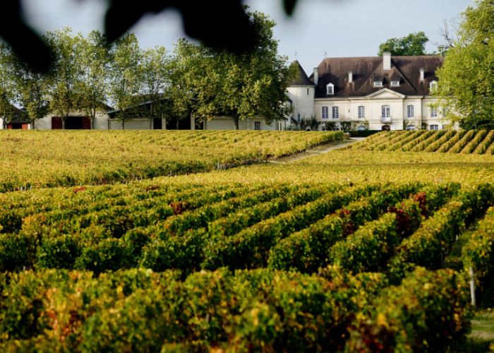 Du 14 au 15 juin, les Estivales de Pessac-Léognan ouvrent leurs portes !