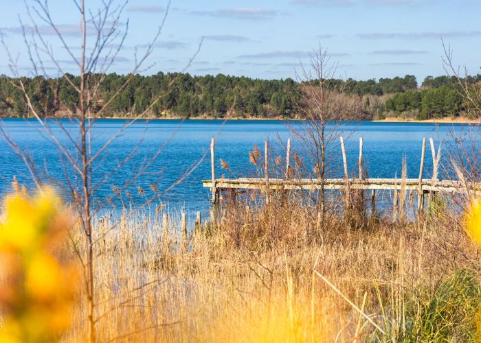 lac-naturel-dans-les-Landes (1)
