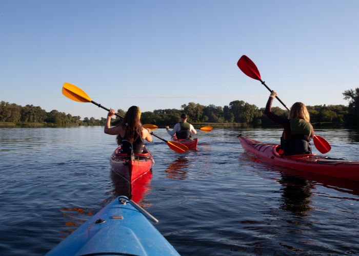 lac-naturel-dans-les-Landes (1)