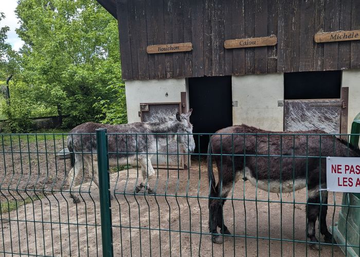 parc-animalier-parc-moulineau-gradignan-min