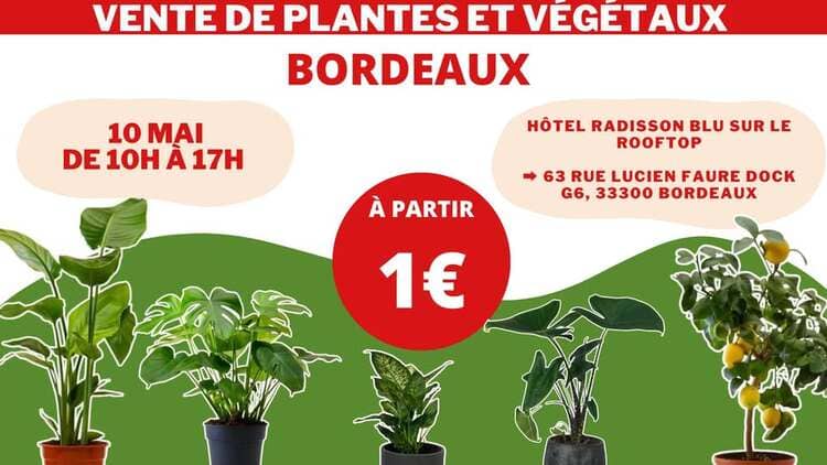 Vente de plantes