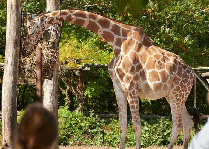 Quoi faire à Bordeaux avec les enfants cet été ? 10 Quoi faire avec les enfants à Bordeaux et aux alentours ?
