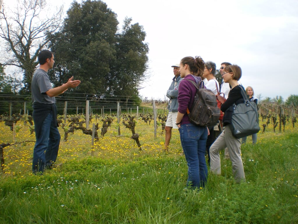 œnotourisme Visite guidée Saint-Émilion Dégustation de vin