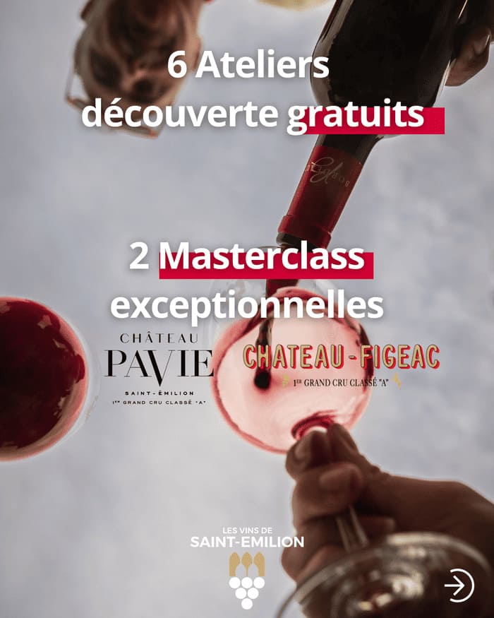 Dégustation vins de Saint-Emilion