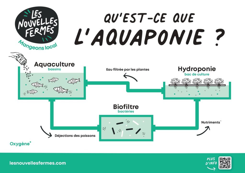 aquaponie ferme Gironde