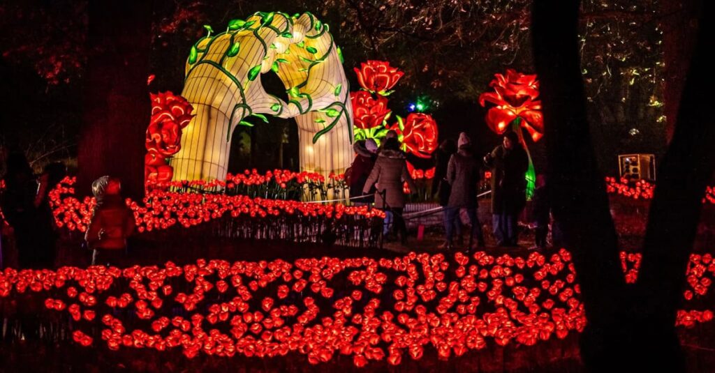 L'Odyssée Lumineuse à Bordeaux 2025 - activité en famille