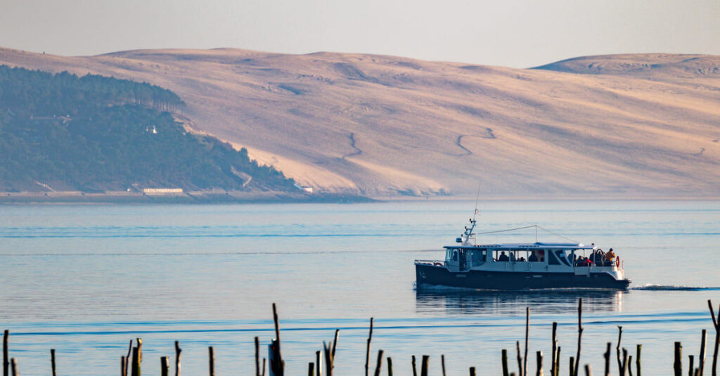 Idée cadeau originale pour Noël sur le Bassin d'Arcachon