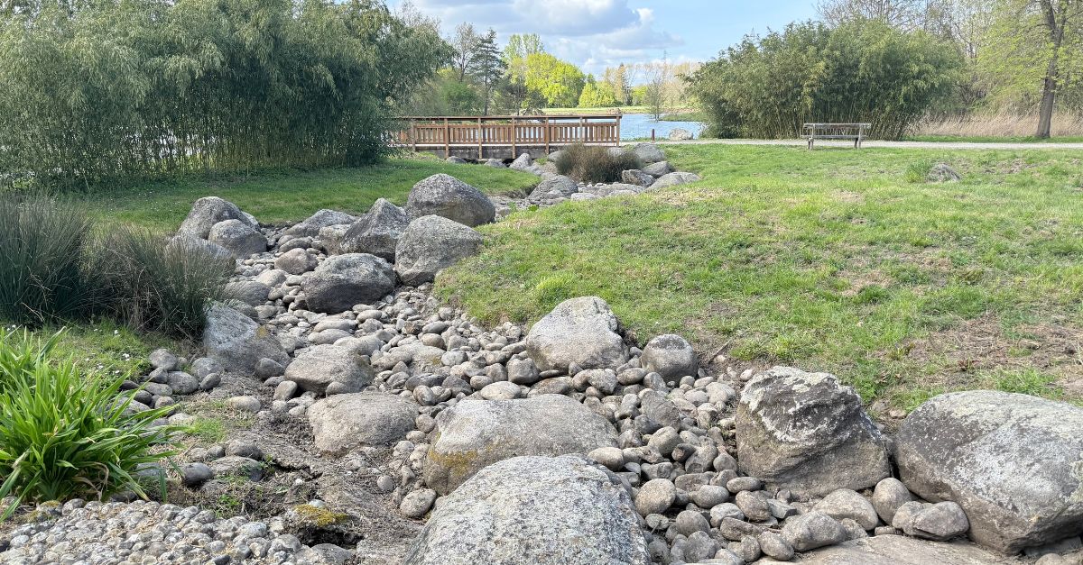On dirait les Pyrénées mais c’est bien un parc à Bordeaux : Réserve écologique des barails