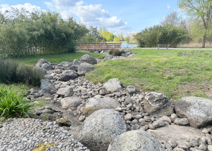 La Réserve écologique des Barails : un coin des Pyrénées à Bordeaux