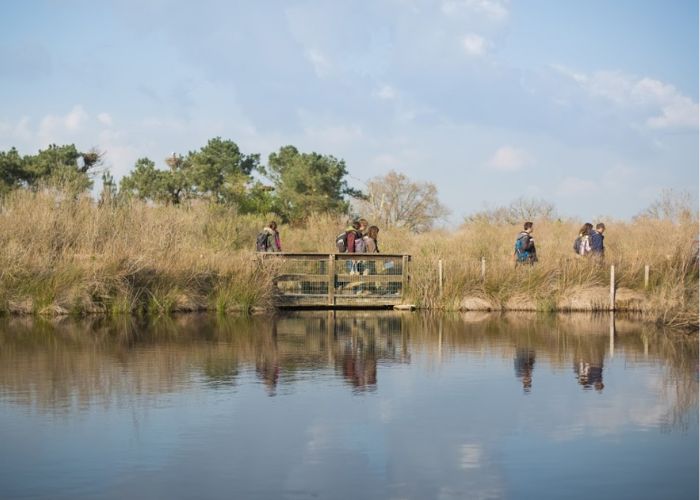 reserve ornithologique teich