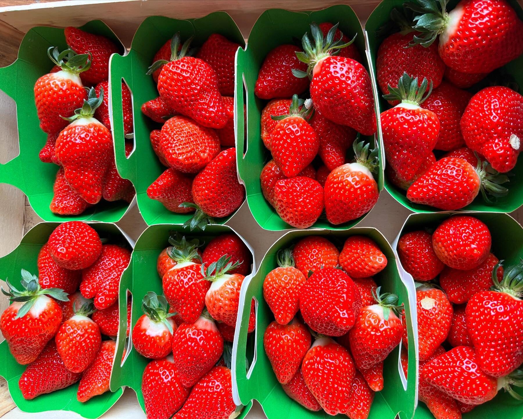 Des Fraises bio et locales dès 3,50€ à Bordeaux : commandez vos barquettes en ligne