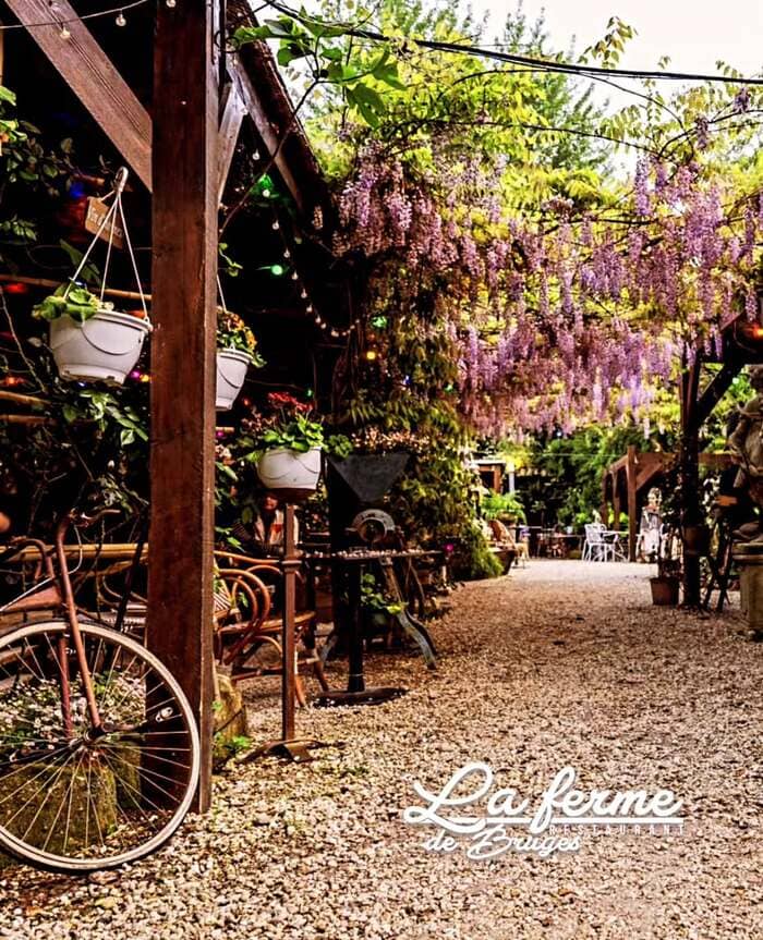 Top 10 guinguettes bordeaux et ses alentours