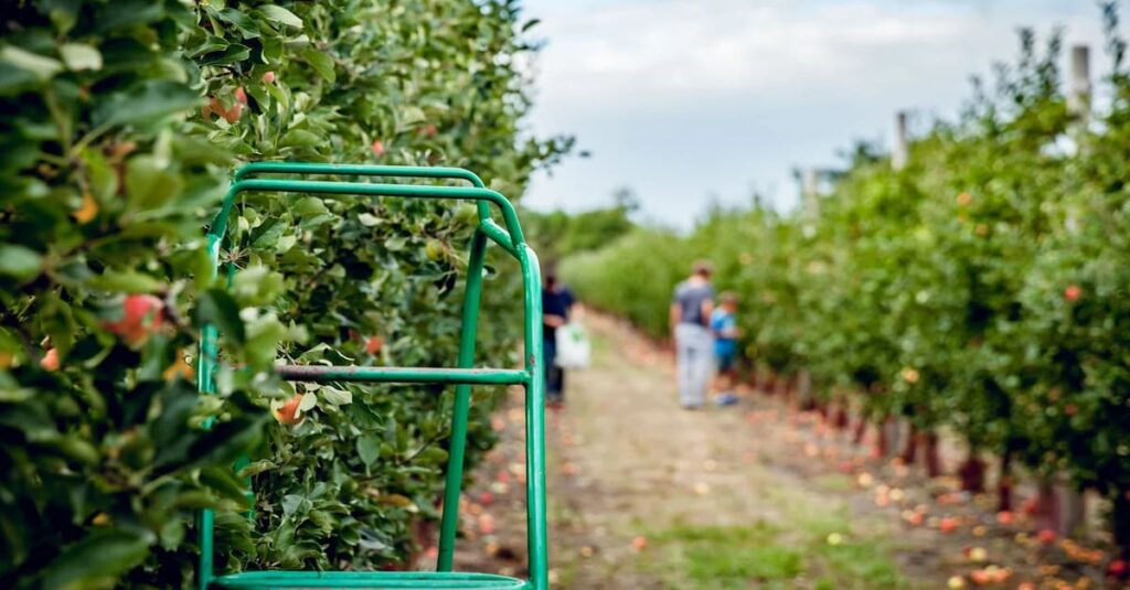 La Benarderie : vacances de pâques à Hourtin