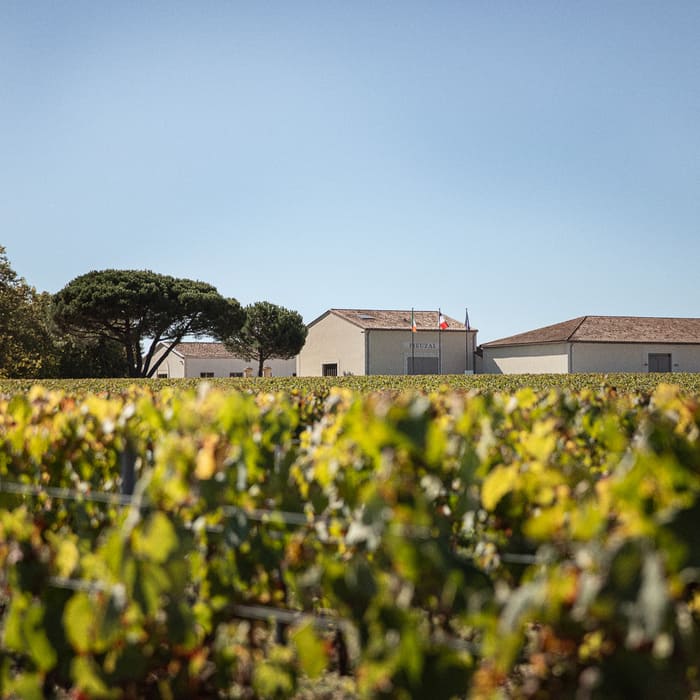 Vins du Château de Fieuzal