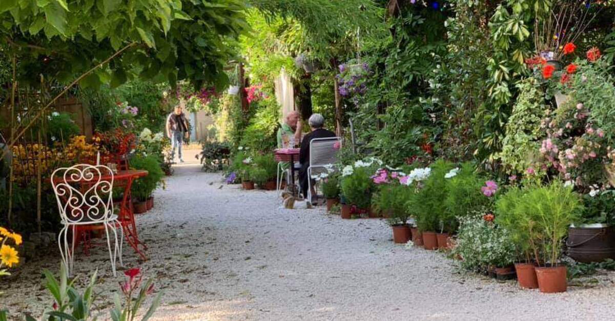 La Fermette à Bruges : l&rsquo;air de la campagne à 10 min de Bordeaux