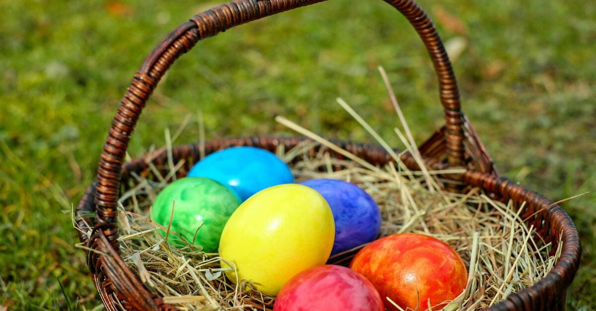 Cette ferme du Médoc propose un escape game de Pâques dans ses vergers pendant TOUTES les vacances