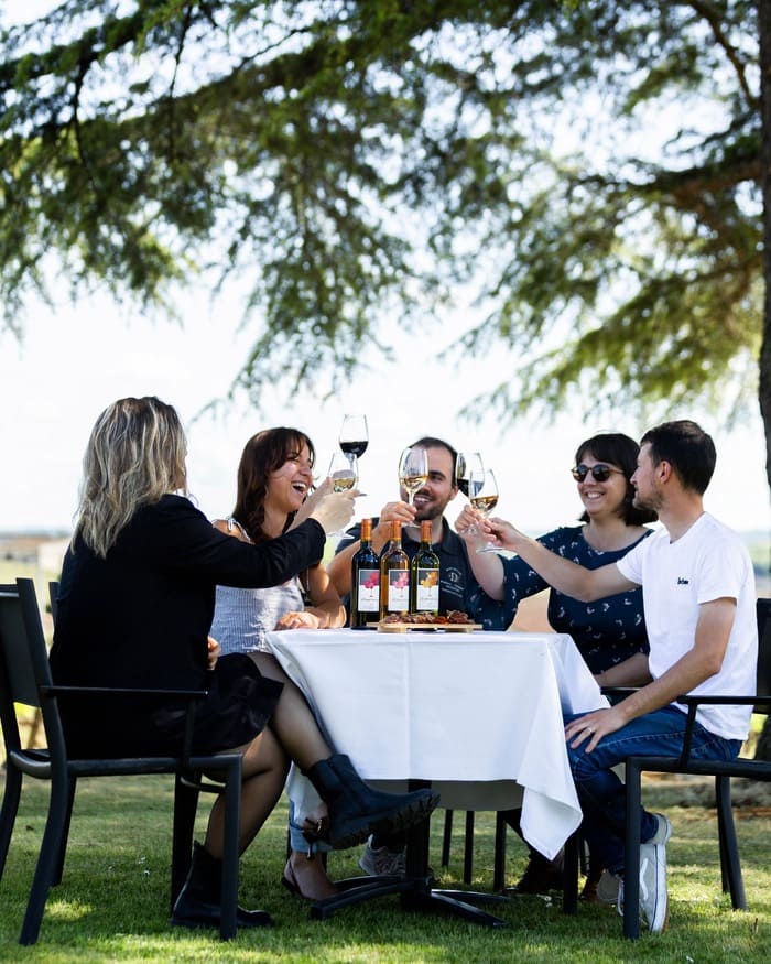 Dédustation de Saint-émilion Grand Cru