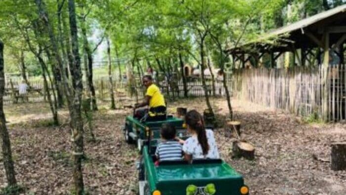 Tépacap Mérignac : l’accrobranche géant aux portes de Bordeaux qui plaît autant aux enfants qu’aux parents
