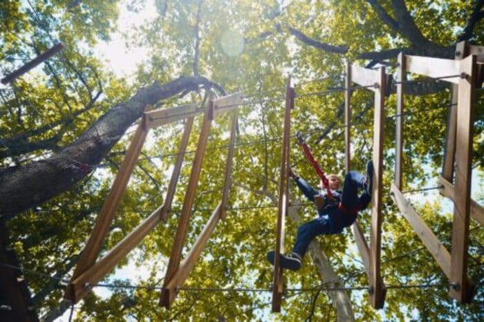 Tépacap Mérignac : l’accrobranche géant aux portes de Bordeaux qui plaît autant aux enfants qu’aux parents