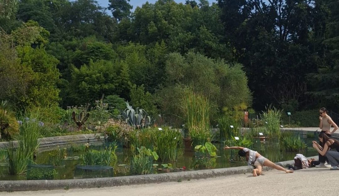 Le Jardin Public de Bordeaux : Histoire captivante et guide pratique de ce joyau urbain