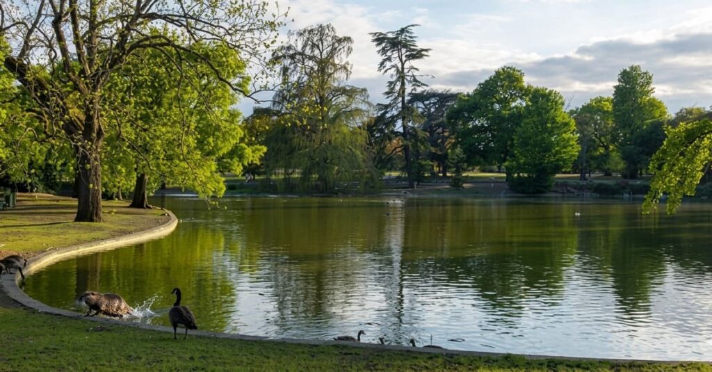 Lac du Parc Bordelais