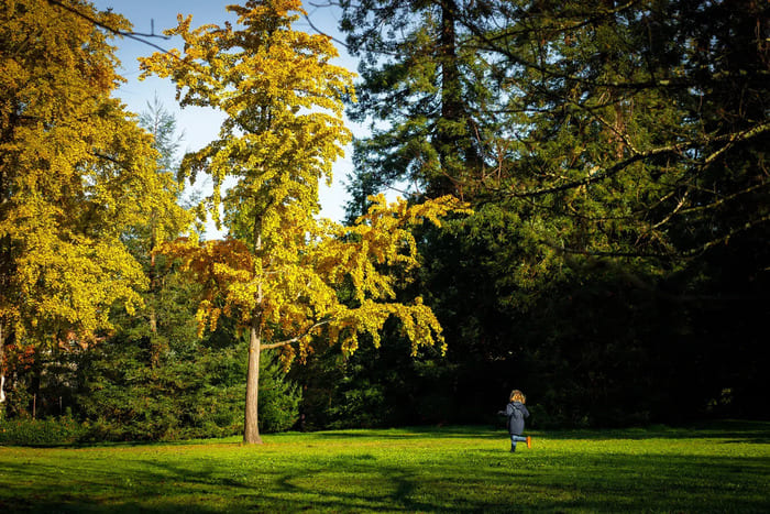 Sortie en famille au Parc Bordelais rue du Bocage Bordeaux