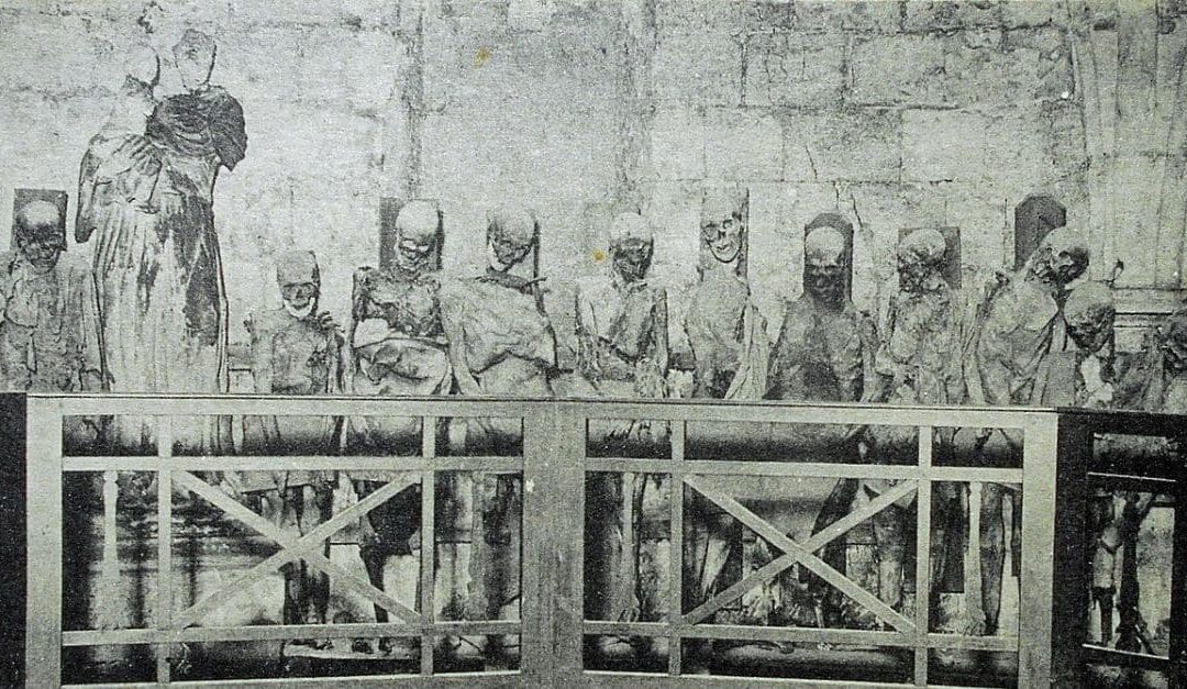 Le mystère des momies de Saint-Michel à Bordeaux : histoire, légendes et disparition d’un trésor patrimonial