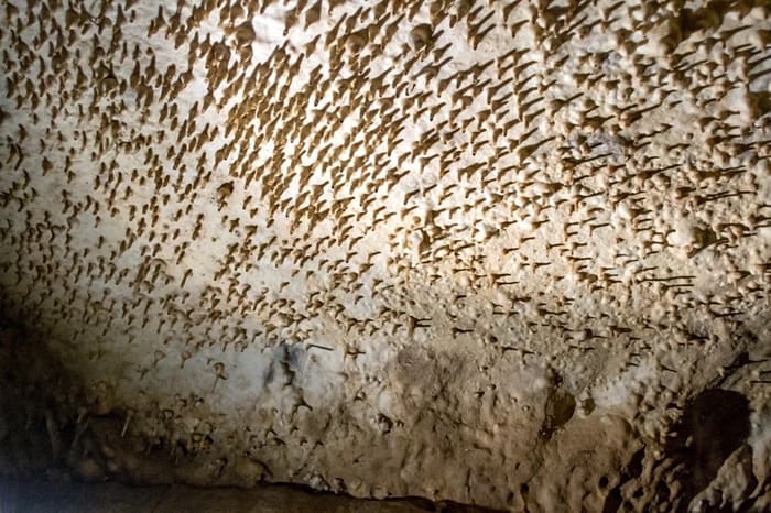 Rivière souterraine aménagée en Gironde