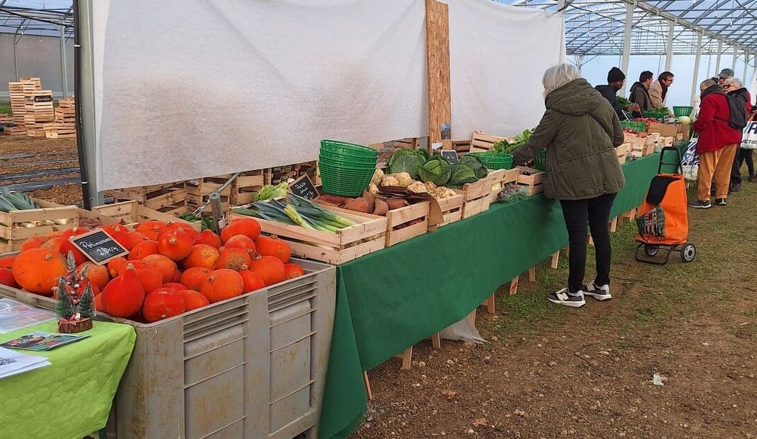 Marché de producteurs à Lormont : bio, solidaire et gratuit, rendez-vous le 26 septembre 2026