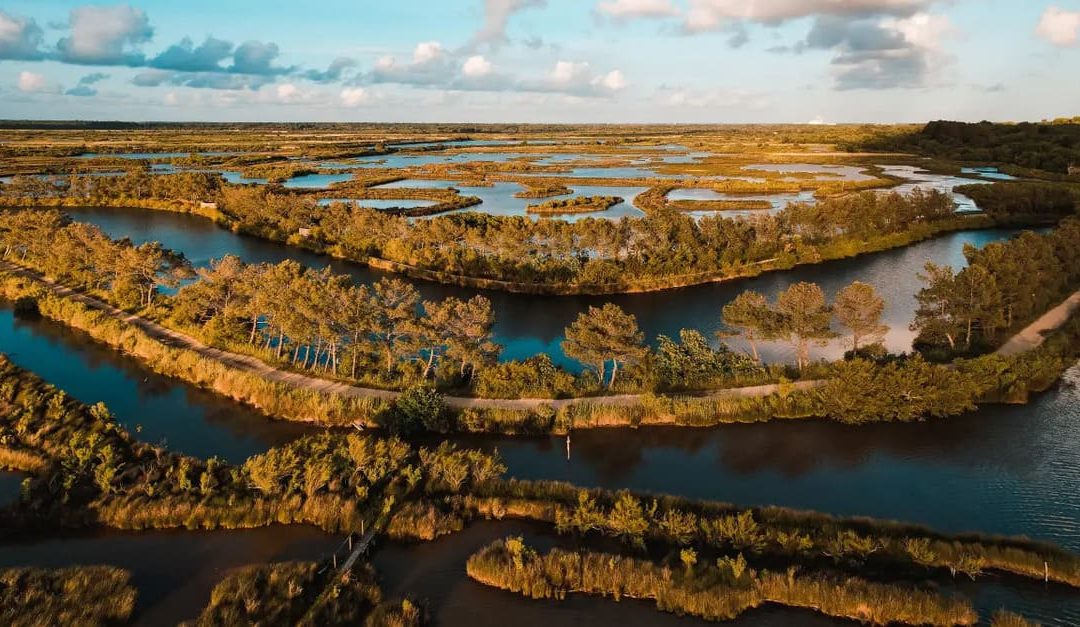 Découvrez Le Teich comme personne ! Que faire, où sortir ?